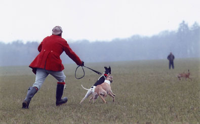 slipper holds back dogs